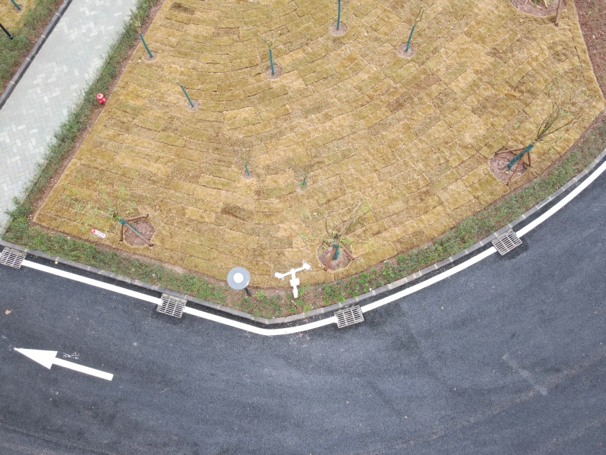 1774837205629253.jpg dji_fly_20260130_094626_86_1769737613524_photo.jpg