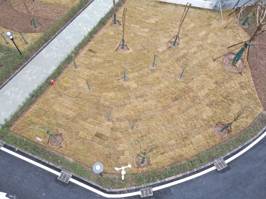 1774837206125342.jpg dji_fly_20260130_094616_84_1769737590401_photo.jpg